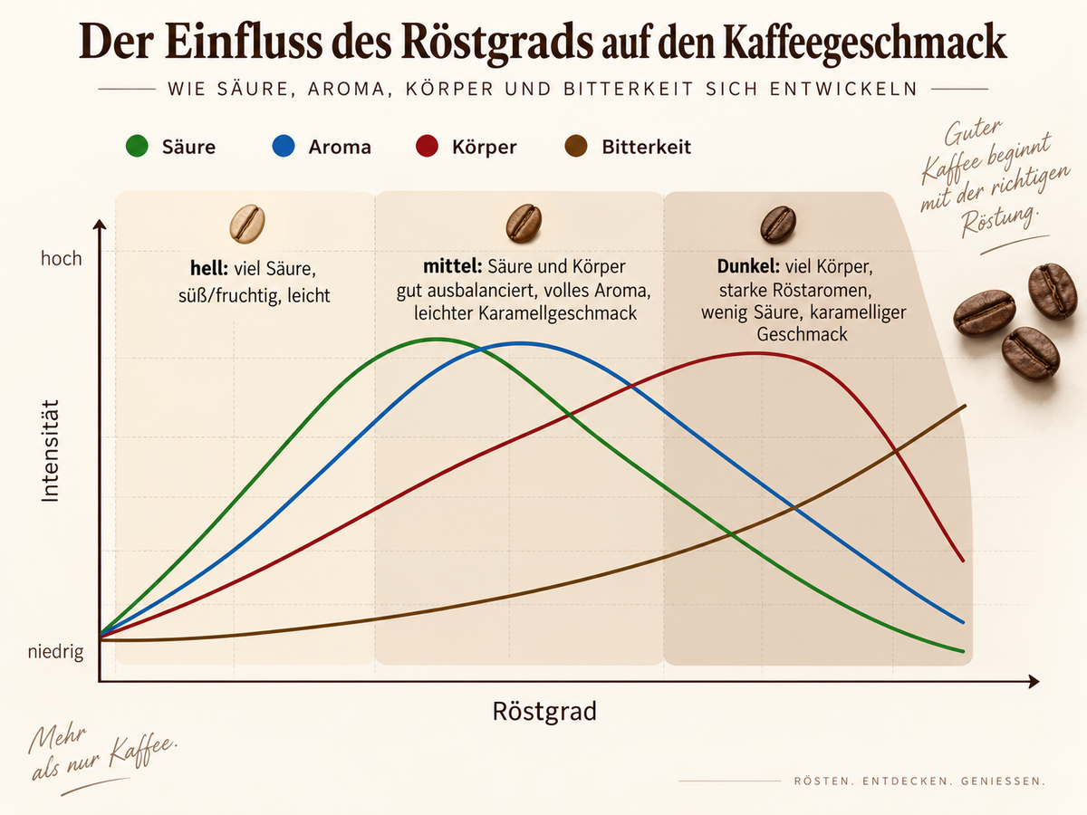 Kaffeebohnen in drei Röstgraden – hell, mittel und dunkel im Vergleich